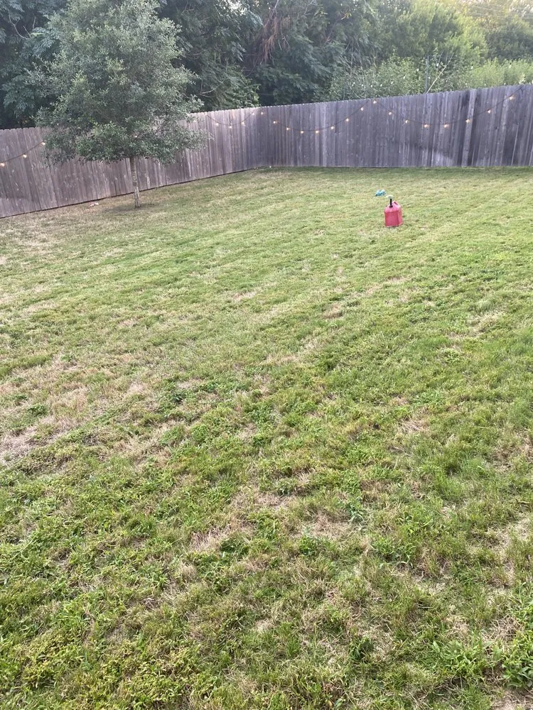 Expert landscape installation in Austin, TX by Reliable Lawn and Power Washing