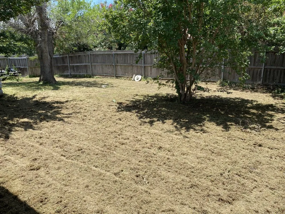 Top-rated garden landscaping experts serving Austin, TX - Reliable Lawn and Power Washing