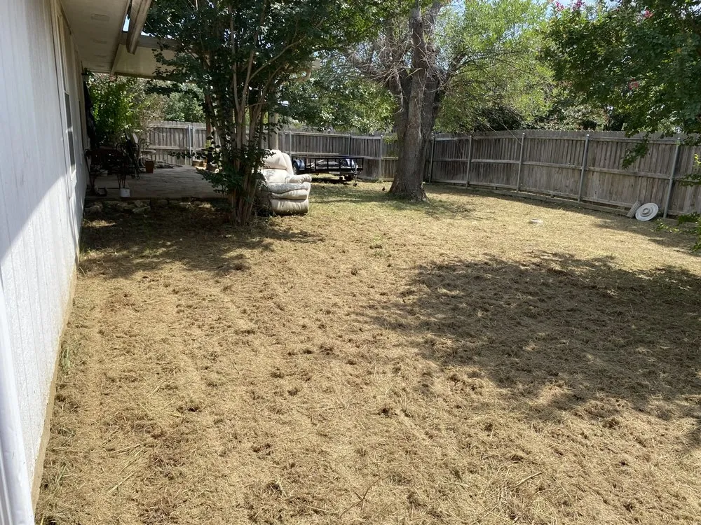 Affordable lawn mowing service in Austin, TX by Reliable Lawn and Power Washing