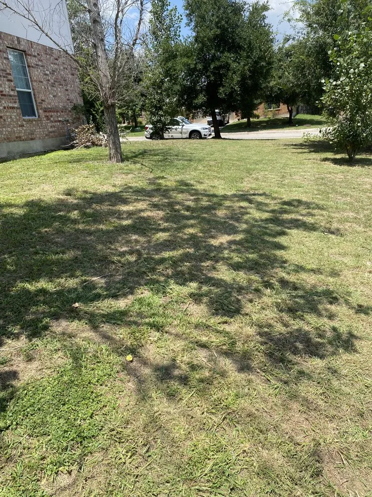 Expert landscaping services in Austin, TX - Reliable Lawn and Power Washing