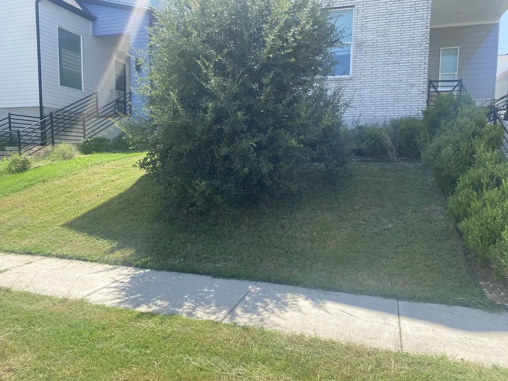 Affordable landscape installation for beautiful yards in Austin, TX by Reliable Lawn and Power Washing
