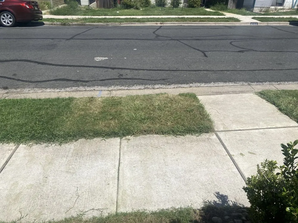 Custom landscape design for residential properties in Austin, TX by Reliable Lawn and Power Washing