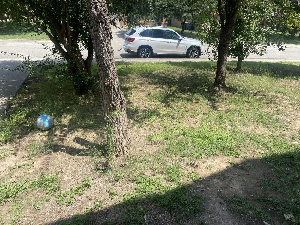 Local yard maintenance in Austin, TX by Reliable Lawn and Power Washing