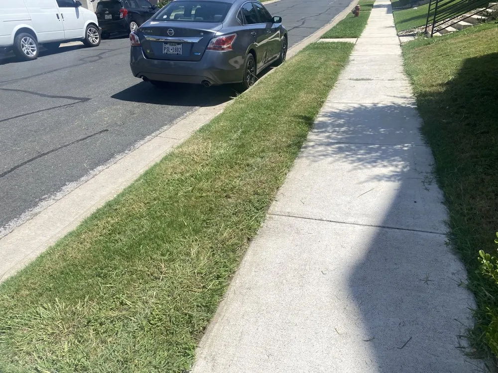 Affordable landscape installation near you in Austin, TX by Reliable Lawn and Power Washing