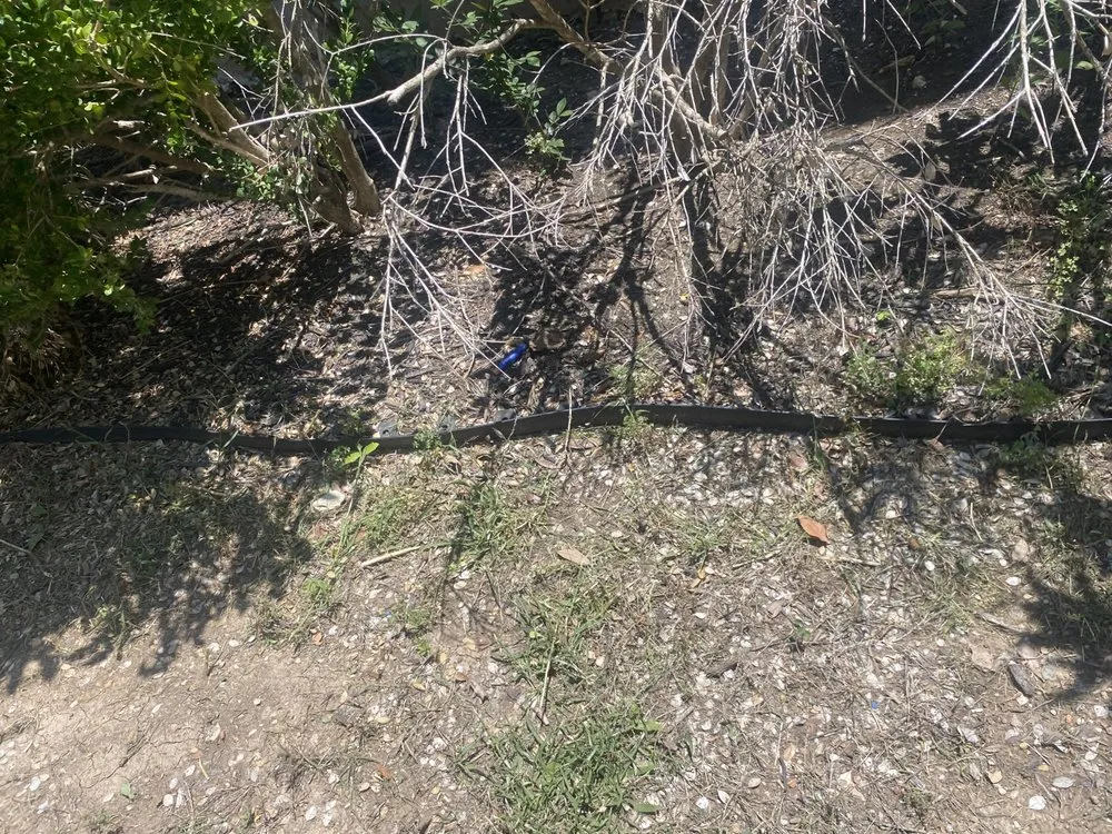 Custom garden landscaping in Austin, TX by Reliable Lawn and Power Washing