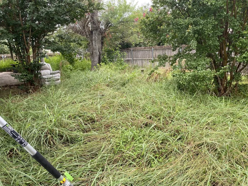 Expert garden landscaping for outdoor upgrades in Austin, TX by Reliable Lawn and Power Washing