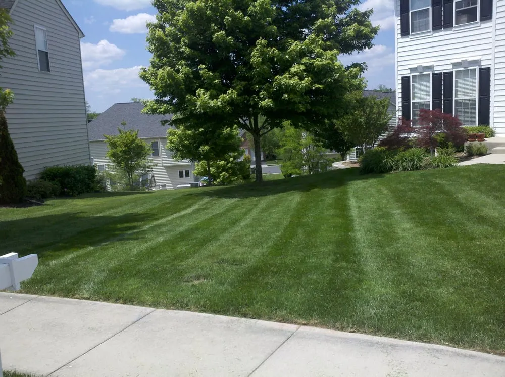Trusted landscaping services in Haymarket, VA by Reliable Lawn Care
