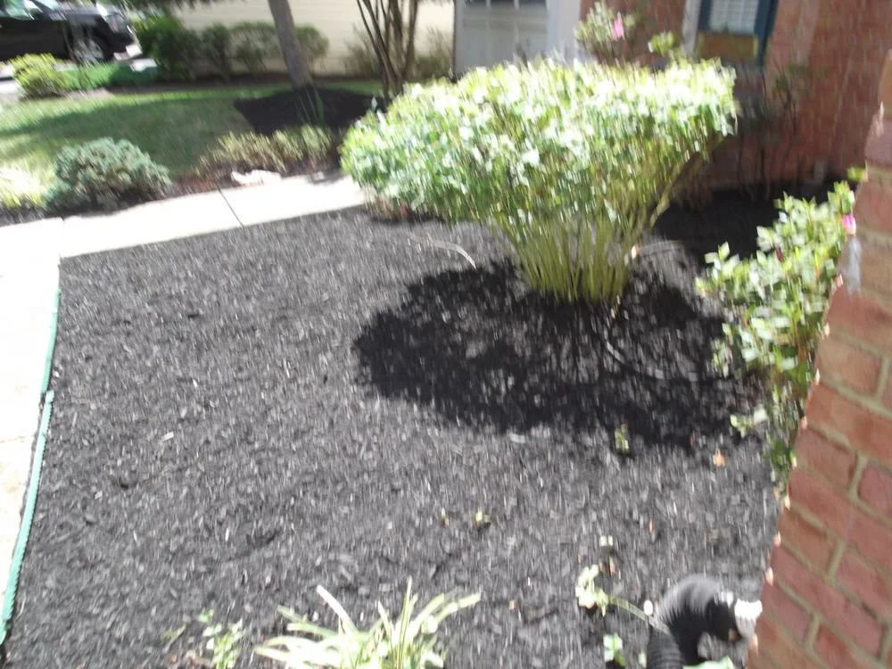 Expert lawn mowing service in Haymarket, VA - Reliable Lawn Care