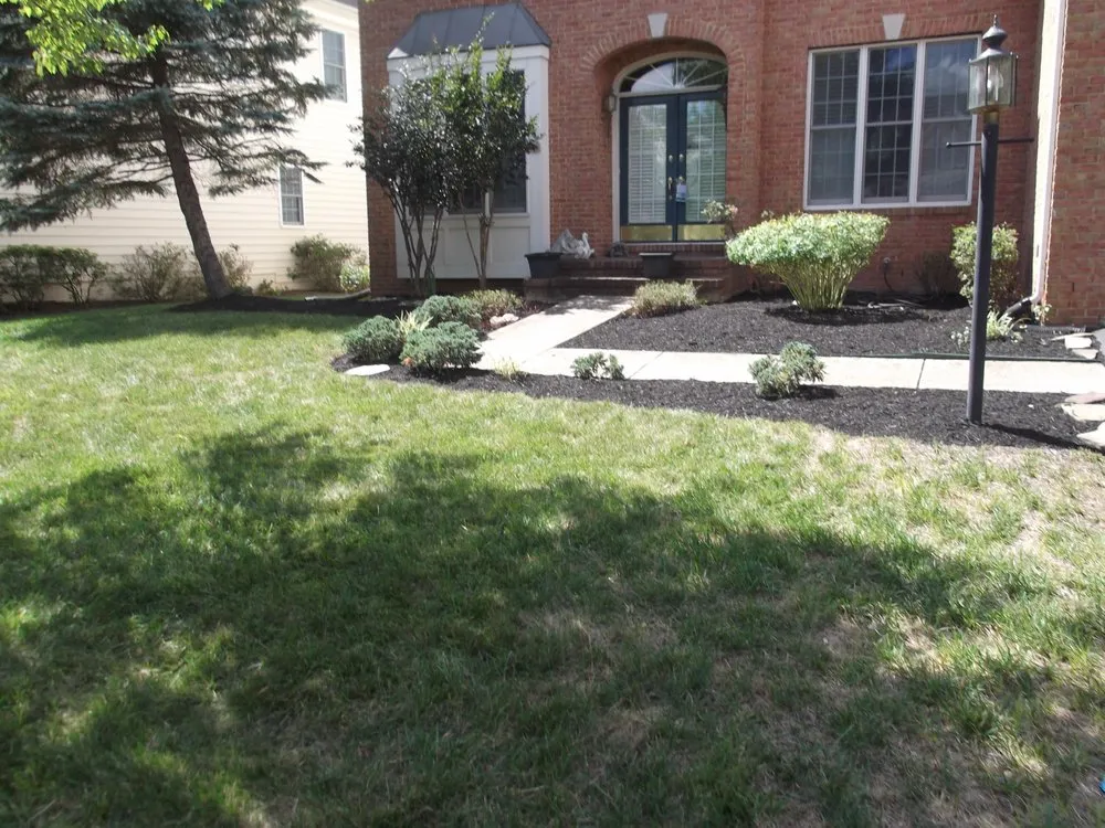 Reliable yard cleanup service in Haymarket, VA by Reliable Lawn Care