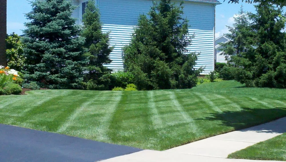 Local landscaping services experts serving Haymarket, VA - Reliable Lawn Care