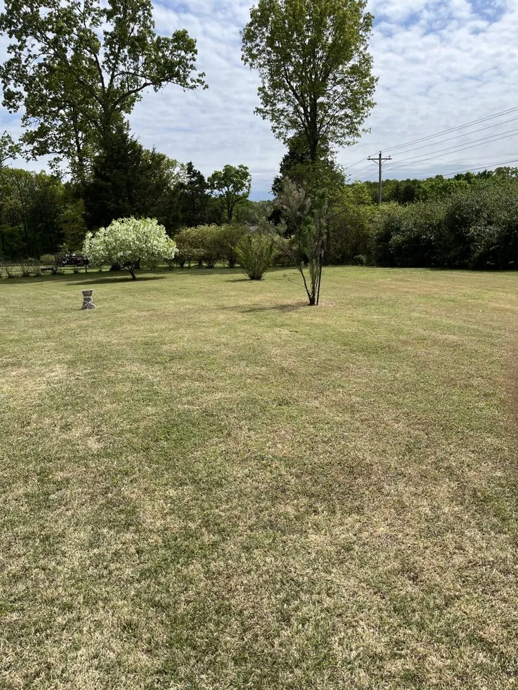 Expert residential landscaping for beautiful yards in Mountain Home, AR by Reliable Lawn Care