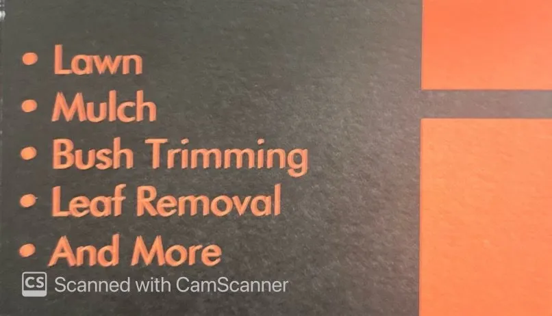 Expert residential landscaping experts serving Mountain Home, AR - Reliable Lawn Care