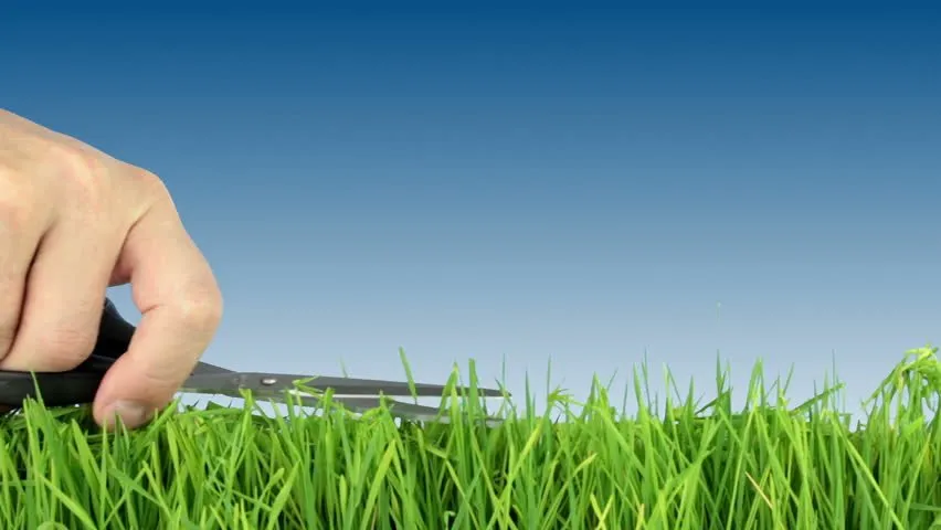 Professional landscape design with custom design in Ringgold, GA by Reliable Lawn Care