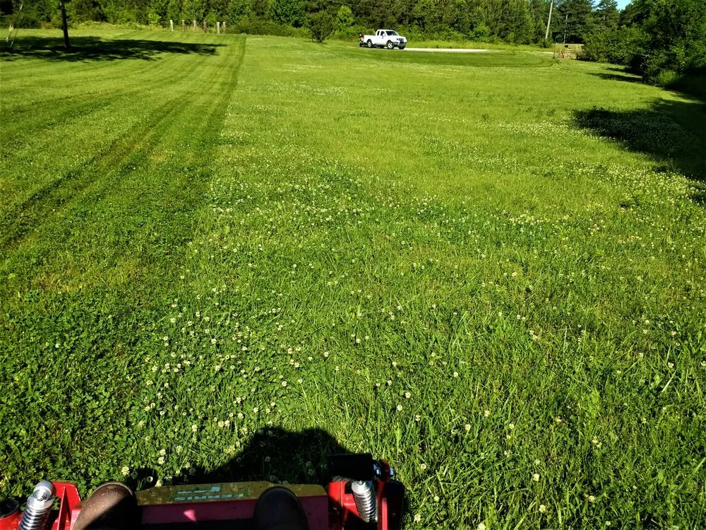 Trusted yard cleanup service with custom design across Ringgold, GA - Reliable Lawn Care