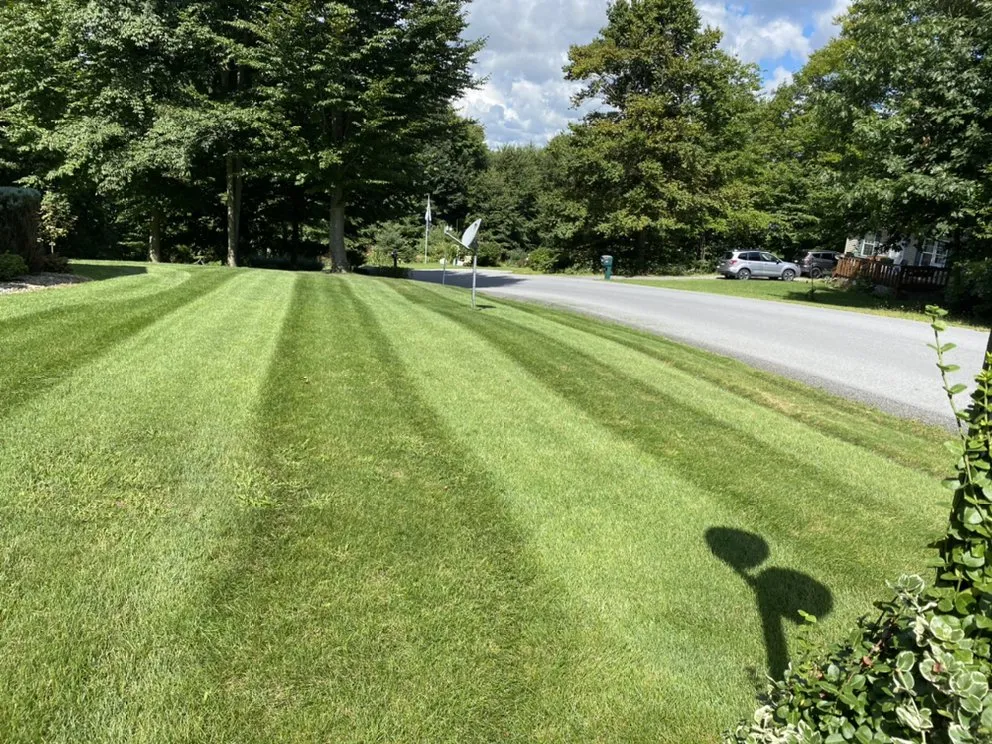 Professional lawn care service experts serving Portage, PA - Reliable Lawn Care Services
