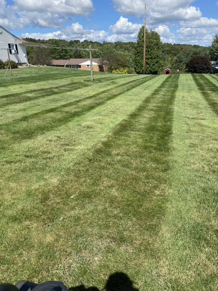Expert yard cleanup service with custom design across Portage, PA - Reliable Lawn Care Services
