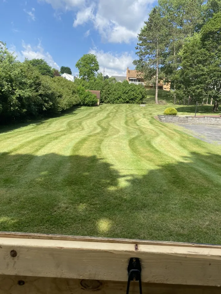 Professional yard cleanup service for beautiful yards in Portage, PA by Reliable Lawn Care Services
