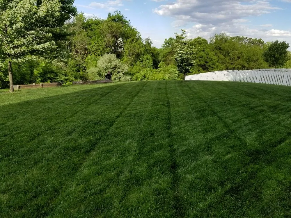 Custom lawn mowing service in Warrenton, VA - Reliable Lawn Care
