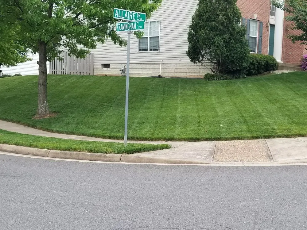 Affordable yard cleanup service near you across Warrenton, VA - Reliable Lawn Care