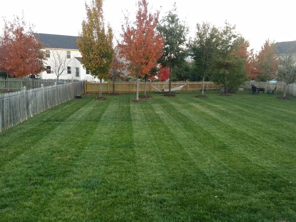 Affordable lawn care service for year-round maintenance across Warrenton, VA - Reliable Lawn Care