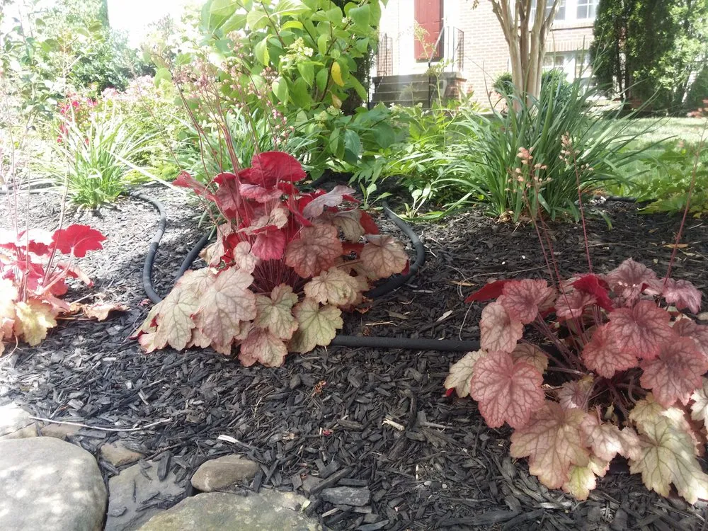 Reliable lawn mowing service for outdoor upgrades across Warrenton, VA - Reliable Lawn Care