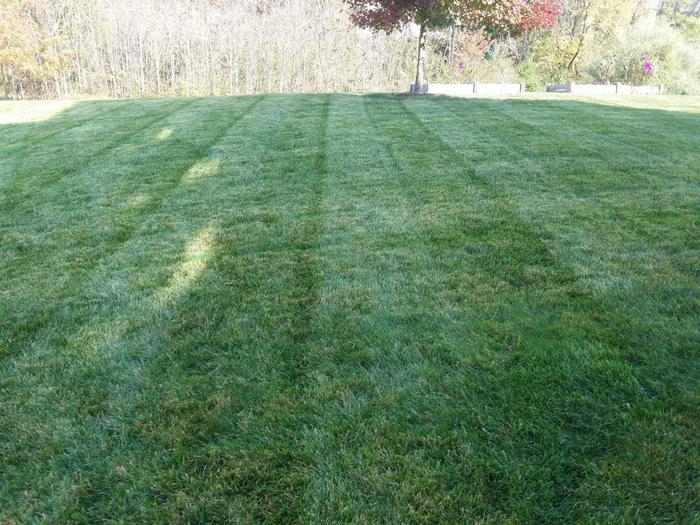 Local outdoor landscaping in Warrenton, VA - Reliable Lawn Care