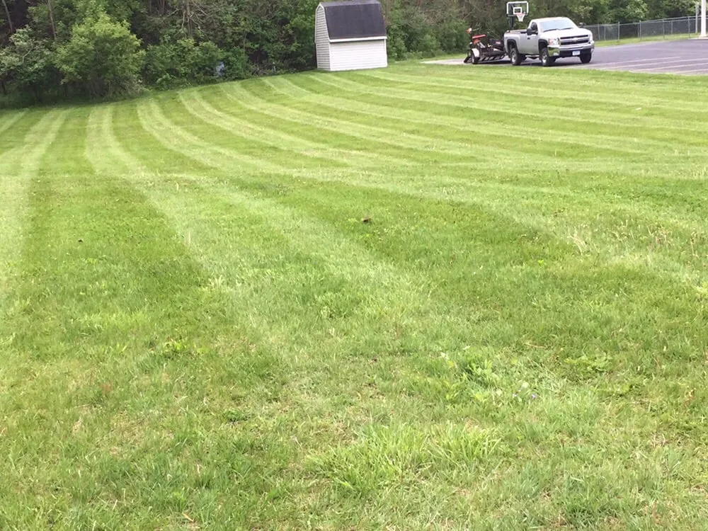 Trusted landscape installation for year-round maintenance in Winona, MN by Reliable Lawn Care