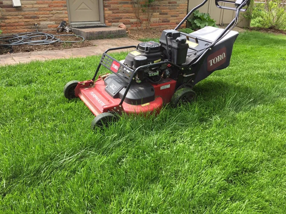 Trusted landscape design experts serving Winona, MN - Reliable Lawn Care