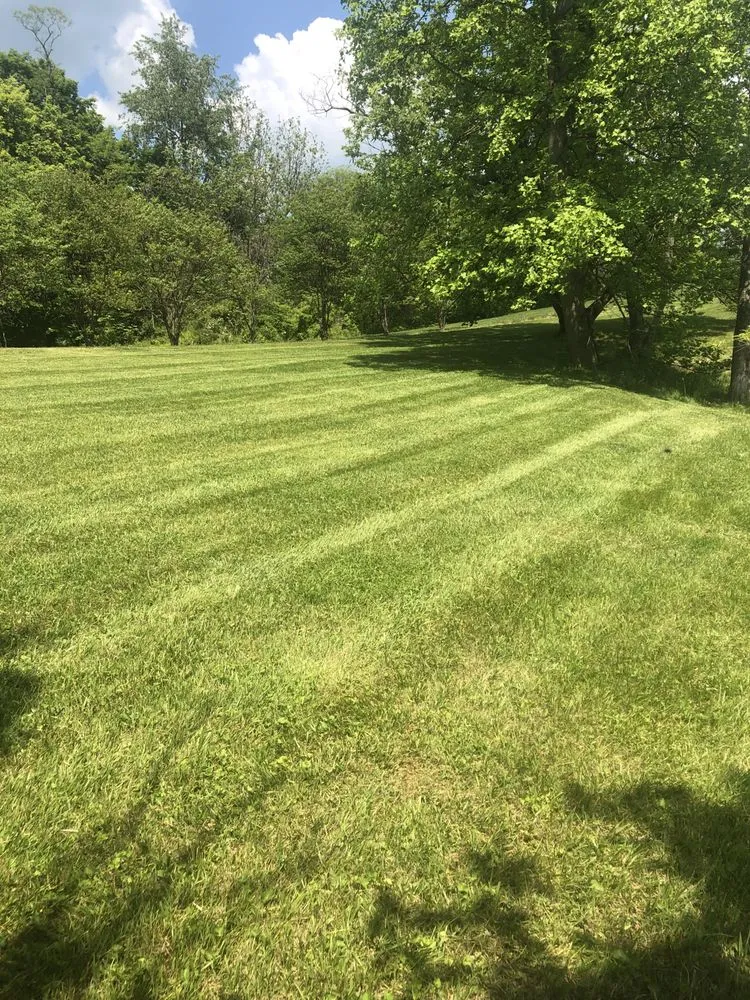Affordable lawn care service in Mineral Wells, WV by Reliable Lawn Service