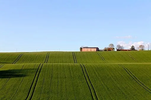 Reliable landscaping services with custom design in North Ridgeville, OH by Reliable Lawn Service