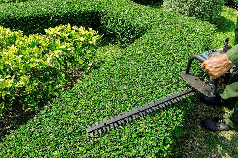 Expert yard maintenance for outdoor upgrades in Cleveland, TN by Reliable Lawn Services