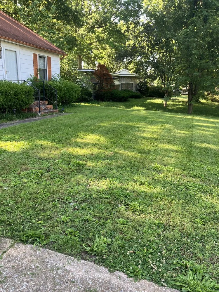 Top-rated lawn mowing service experts serving Swansea, IL - Reliable Lawn Services