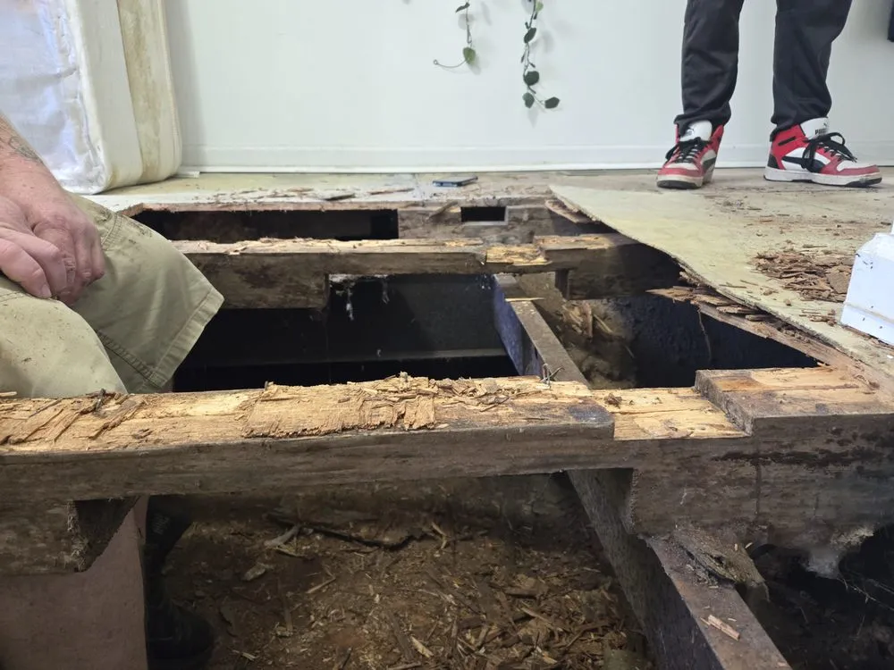 Professional lawn mowing service in Atlanta, GA by Reliable Legacy