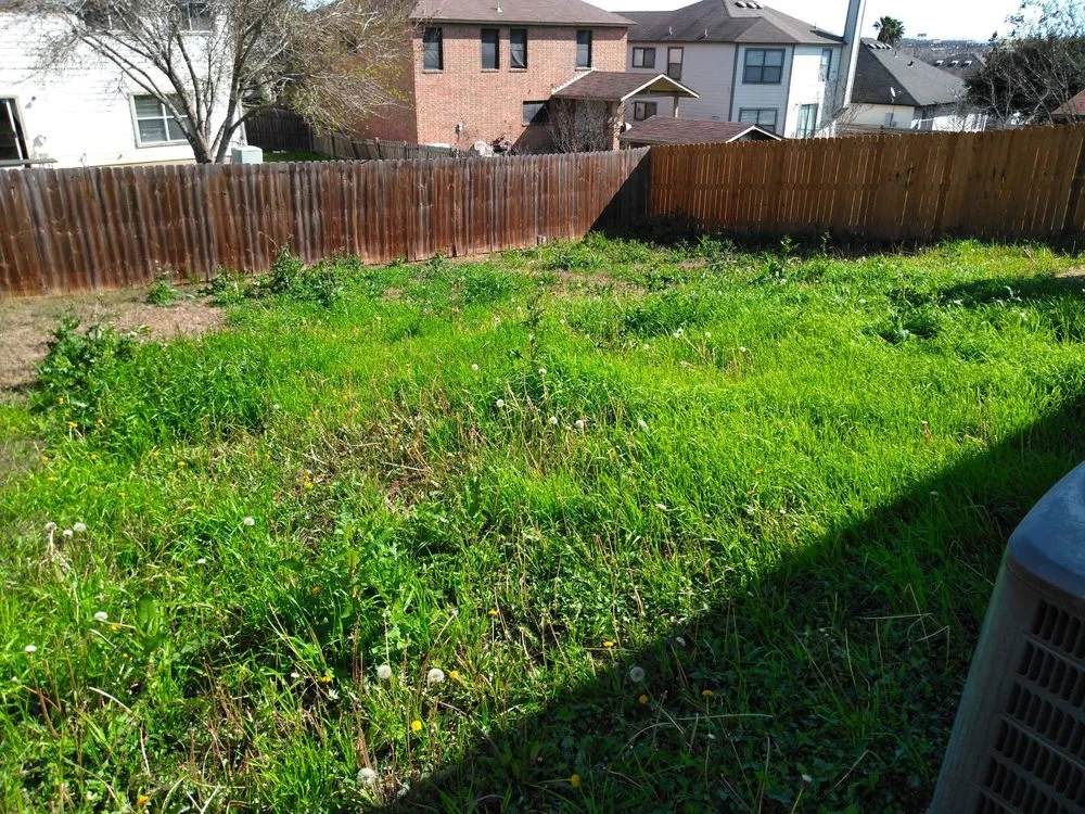 Professional outdoor landscaping in Schertz, TX - Reliable Mow