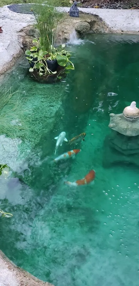 Reliable garden landscaping in Haines City, FL - Reliable Ponds