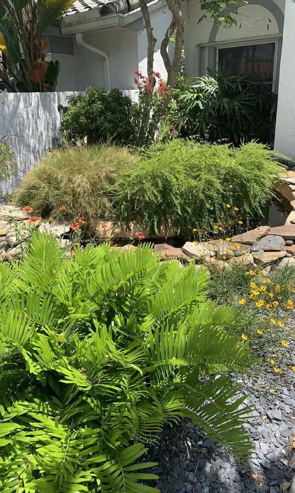 Local residential landscaping in Haines City, FL by Reliable Ponds