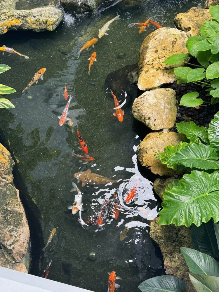 Custom lawn mowing service for residential properties in Haines City, FL by Reliable Ponds