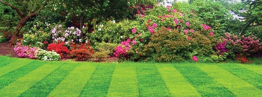 Top-rated outdoor landscaping for year-round maintenance in Maggie Valley, NC by Reliable Property Services of WNC