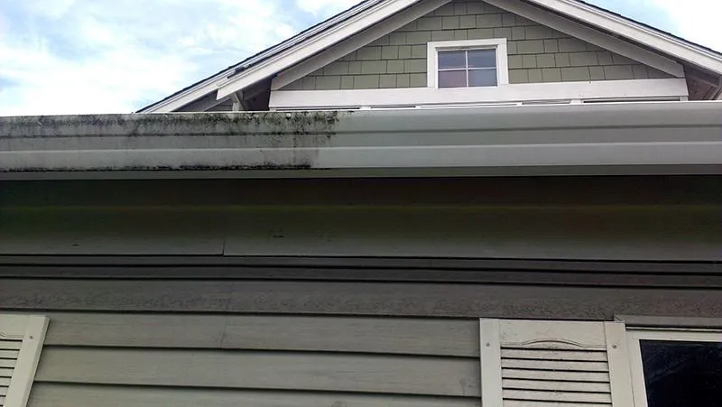 Affordable landscape design in Maggie Valley, NC - Reliable Property Services of WNC