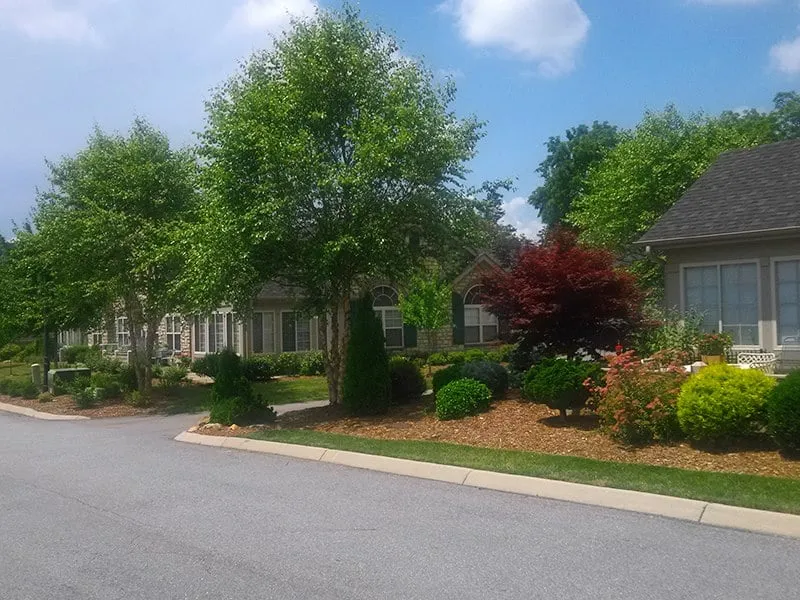 Trusted yard cleanup service experts serving Maggie Valley, NC - Reliable Property Services of WNC