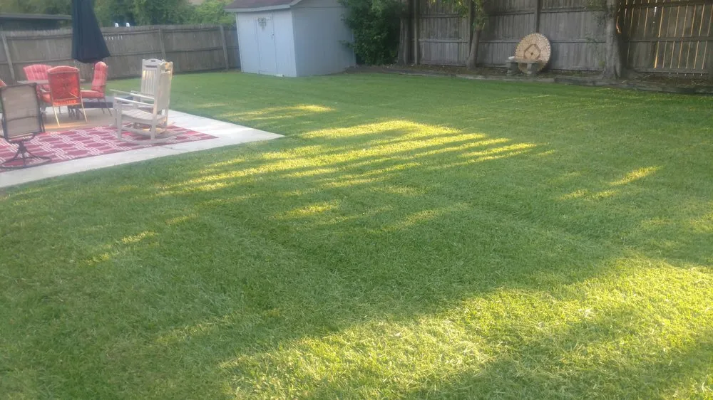 Professional landscape installation for beautiful yards across Jacksonville, FL - Reliable Rain Turf and irrigation