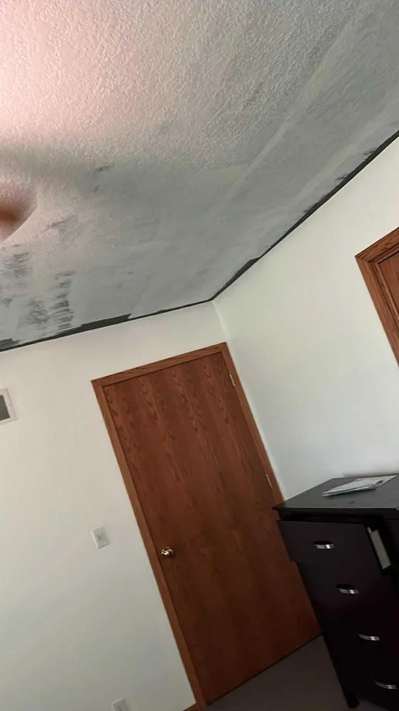 Top-rated yard cleanup service in Burlington, KS by Reliable Service Solutions