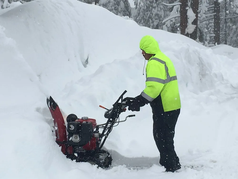 Professional yard maintenance in Kings Beach, CA by Reliable Services