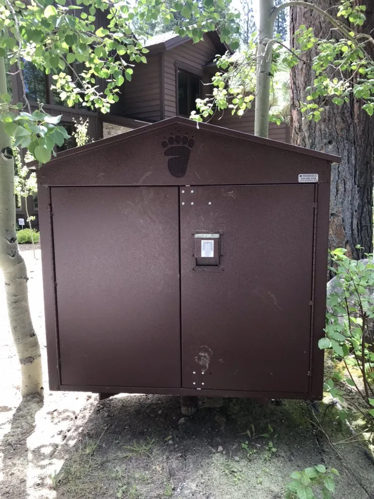 Professional yard maintenance near you in Kings Beach, CA by Reliable Services