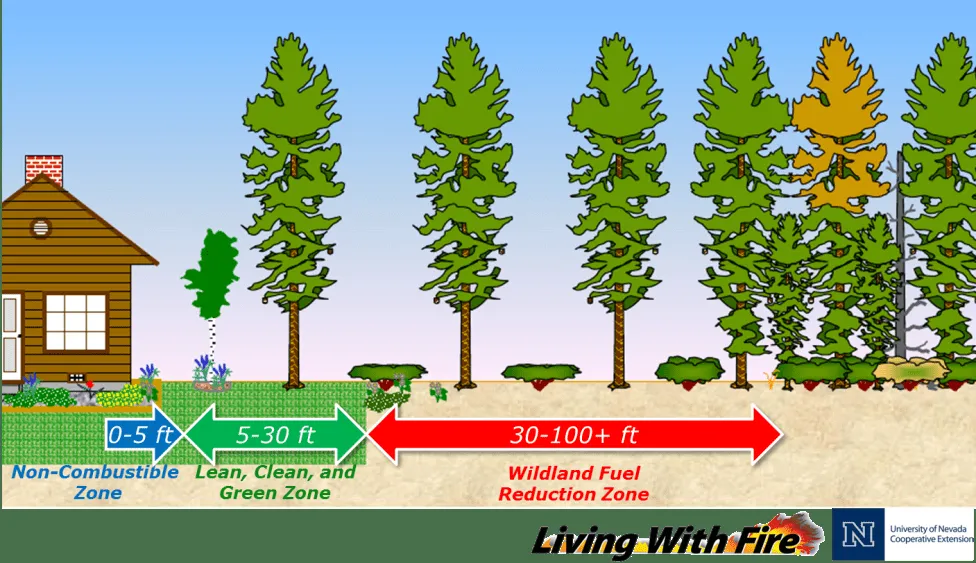 Professional residential landscaping experts serving Kings Beach, CA - Reliable Services