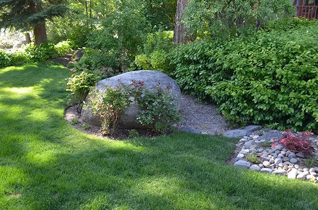 Trusted yard cleanup service in Kings Beach, CA - Reliable Services