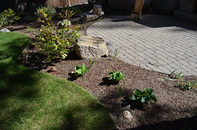 Trusted landscaping services in Kings Beach, CA by Reliable Services