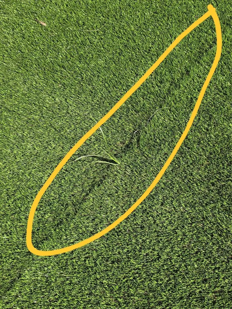 Trusted yard maintenance in Panama City, FL - Reliable Services