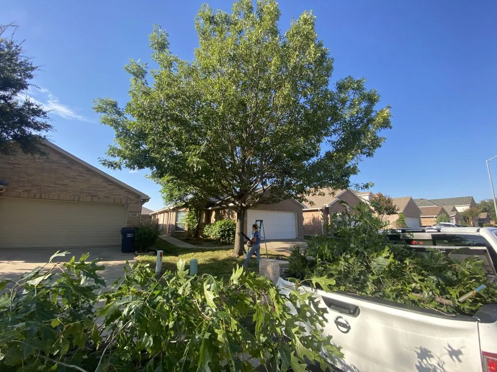 Custom residential landscaping for homes in Burleson, TX by Reliable Source Property Maintenance