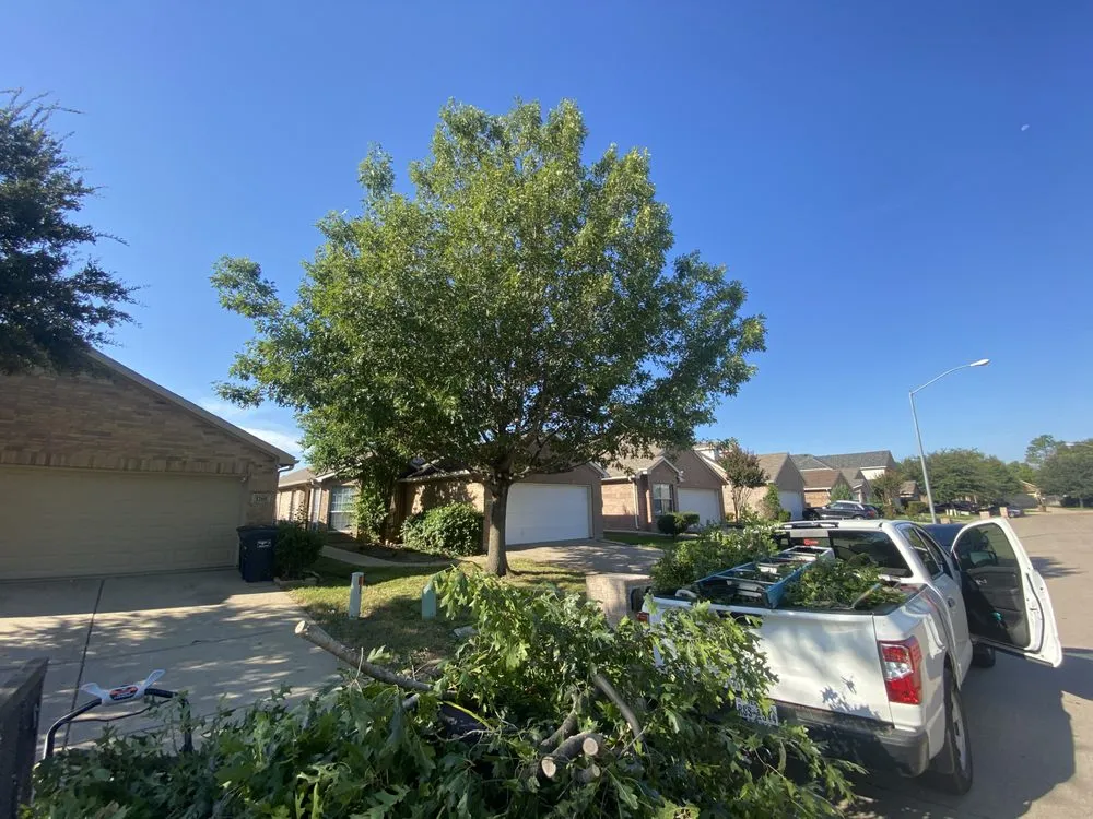 Custom lawn mowing service in Burleson, TX - Reliable Source Property Maintenance